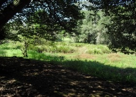 Imagem 10 de 15 de Chácara Em Condomínio | 8034 - 8034