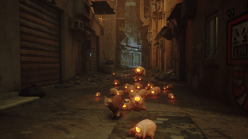 Stray | Steam | Pc | Digital