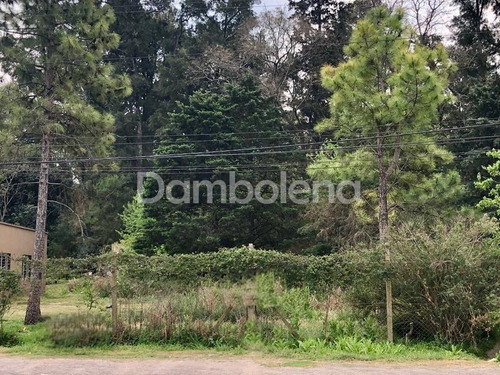Imagen 3 de 8 de Terreno Fraccion En Venta Ubicado En Los Cardales, Escobar, G.b.a. Zona Norte