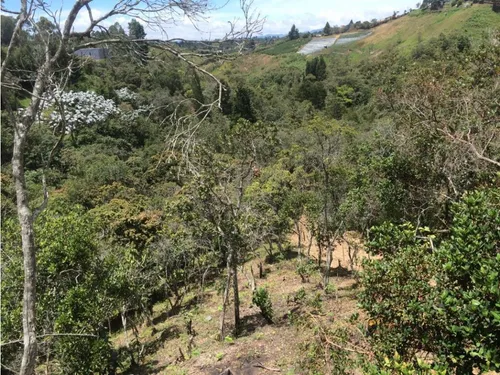 Lote En Venta Con Cabaña Y Explanada Para Casa Principal, Guarne