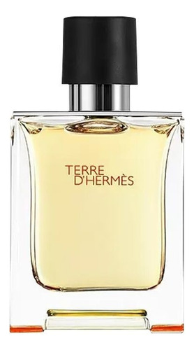 Terre D'hermès Eau De Toilette Para Hombre Spray 100 Ml 