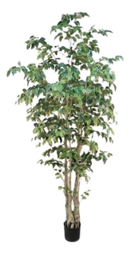 Árbol De Ficus Clásico 240cm Artificial