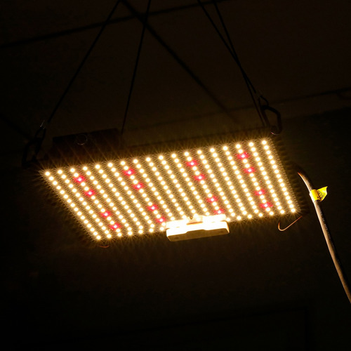 Quantum Board Leds Indoor 120watts - Samsung Lm301h - Qb120