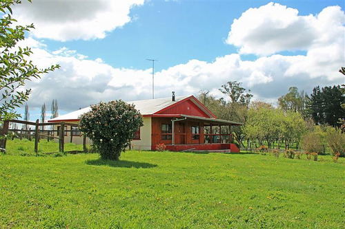 2 Casas En Terreno De 4 Has En Venta En Osorno