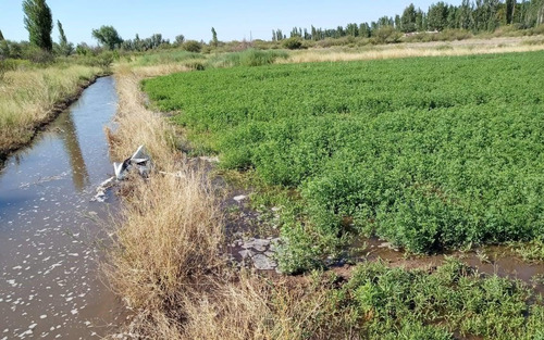 Finca En Venta En Rio Atuel