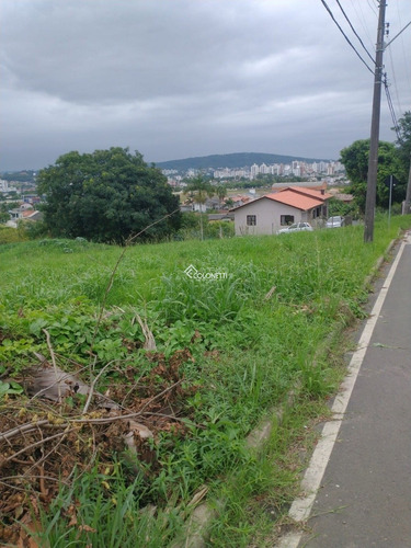 Imagem 6 de 7 de Terreno - Milanese - Ref: 1635 - V-1635