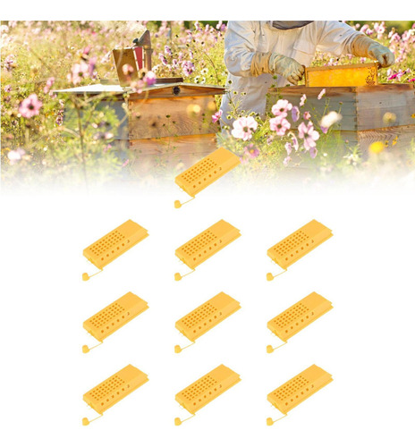 10 Piezas Reina Jaulas De Abejas Suministros De Abejas