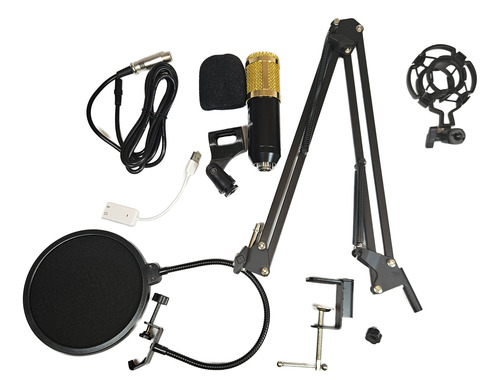 Kit Streaming Microfono Estudio Atril Filtro Bm800k Cipriani