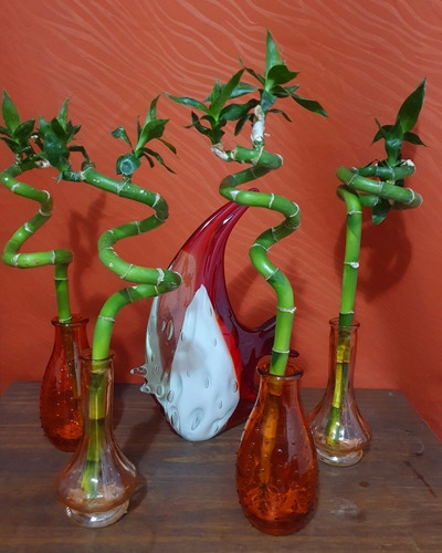 Varas De Bambu Para La Suerte!!