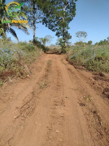 Imagem 9 de 9 de Fazenda À Venda Em Araguaína - To - 687,28 Hectares (dupla Aptidão) - 2109