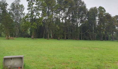 Parcelas A 13 Minutos Del Lago Ranco, En Puerto Nuevo