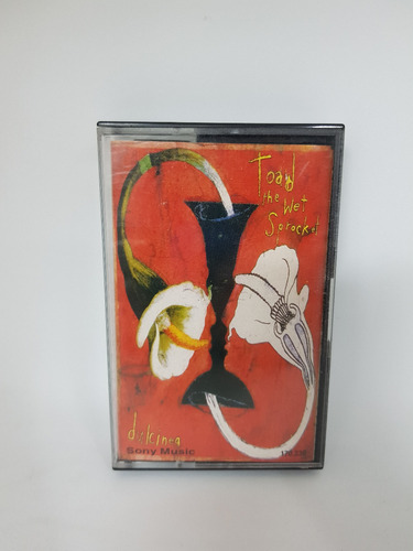 Cassette De Musica Toad The Wet Sprocket - Dulcinea (1994)