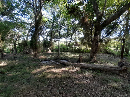 Vendo Pequeño Bosque Sobre El Río Corriente En La Ciudad De Esquina!!!!