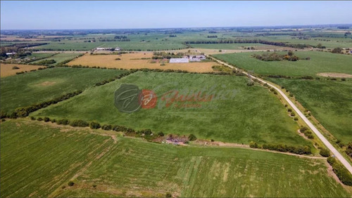 Venta Terreno / Lote Zárate