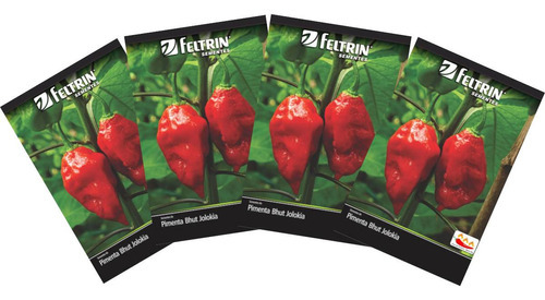 4x Sementes De Pimenta Cascavel (bhut Jolokia) Feltrin