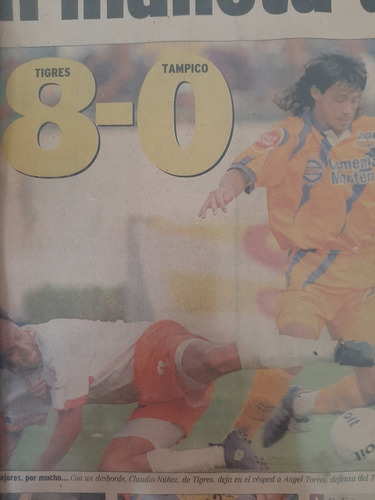 Cuadro Con Recorte De Tigres (Usado)