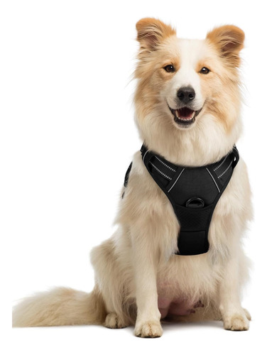 Arnés Para Perro Rabbitgoo No Tirar Ajustable Con Manija M