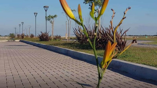 Terreno Venta Santa Clara San Vicente