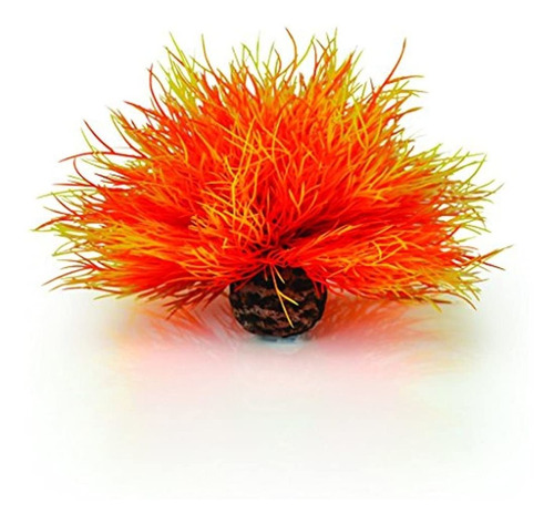 Biorb 460850 Aquatic Sea Lily Orange Aquariums