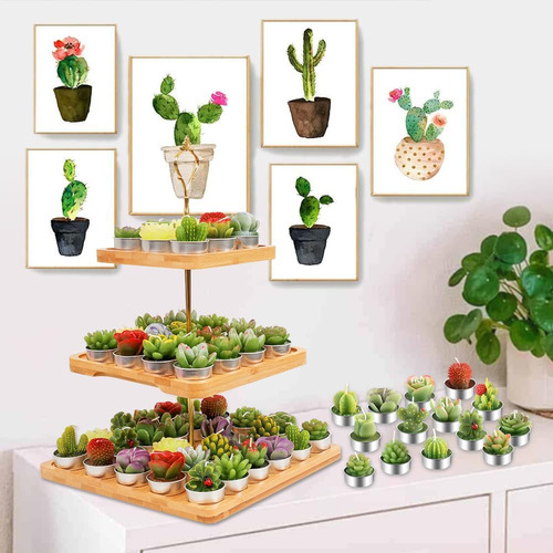 Aixiang 72 Sets Cactus Candles Suculent Talight Candles + Or