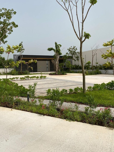 Imagen 4 de 13 de Terreno En Venta Privada Kinish Tixcuytun, Mérida Yucatán