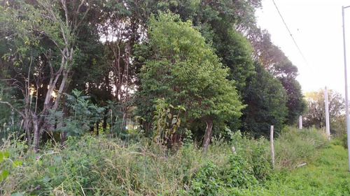 Imagen 3 de 10 de Terreno - Villa Catalina