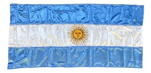 Bandera Argentina Flameo Con Sol 50 X 100 Cm