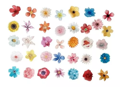 36 ideas de PAPEL DE ARROZ COMESTIBLE  papel de arroz, flores de papel de  oblea, oblea