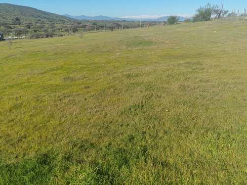 Vendo Parcela Con Agua Y Radier De 160 Mtrs2 En Marchigue