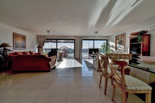 Amplio Apartamento Frente Al Puerto De Punta Del Este!!-ref:561
