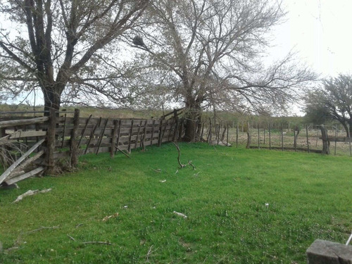 Imagen 5 de 19 de Campo 5000 Ha En El Dpto. Limay Mahuida- La Pampa