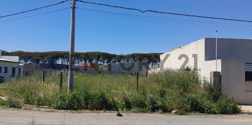 Lote En Venta