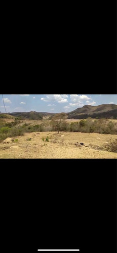 Imagem 3 de 13 de Fazenda Montada Pra Pecuária Município Unai