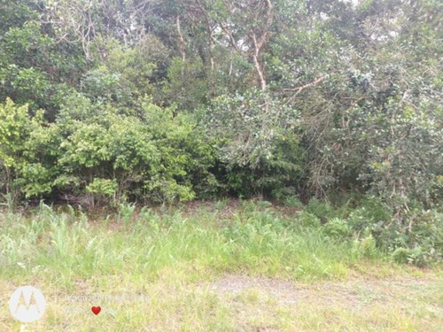 Imagem 2 de 2 de Terreno No Jardim Maramba Ii, Em Itanhaém, Com 363 M² De Área Total