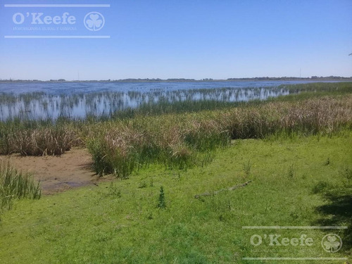 Imagen 12 de 25 de Campo En Venta En Lezama - 530 Has. Ideal Turismo Rural Con Laguna. Pesca - Retasado
