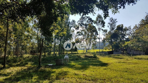 Imagem 16 de 25 de Chácara Com 3 Dormitórios À Venda, 870000 M² Por R$ 7.000.000 - Bairro Imigrantes - Capela De Santana/rs - Ch0085