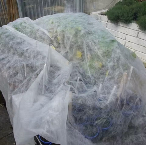 Cubre Plantas Contra Frío Y Escarcha Resistente 1.6m X 5m