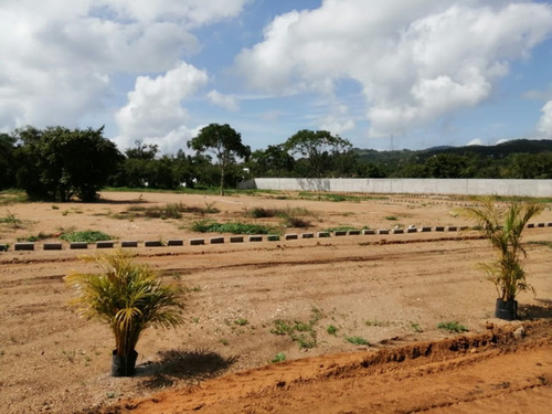 Imagen 4 de 9 de Terreno En Venta En El Fraccionamiento Villas Del Rosario
