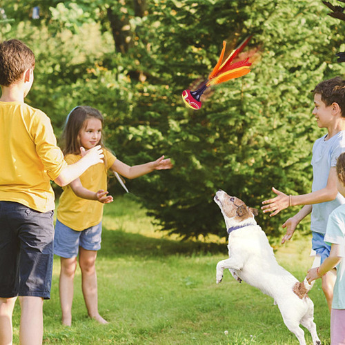 . Volantes De Playa Volantes Al Aire Libre Juegos Al Aire