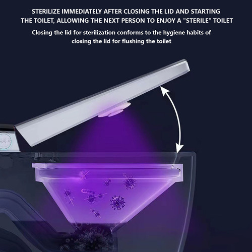Lámpara Ultravioleta De Inducción Inteligente Con Desodoriza