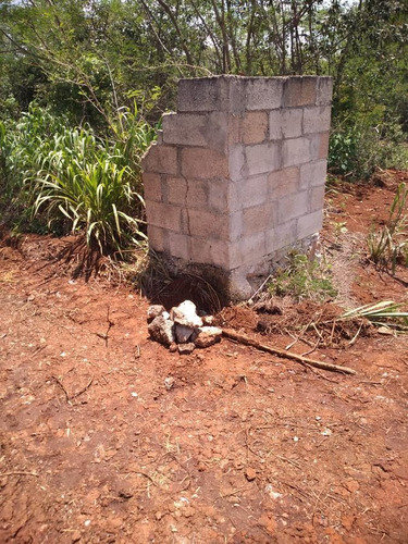 Imagen 10 de 18 de Terreno - Pueblo Cholul
