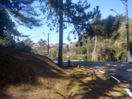 Imagem 6 de 11 de Chacara - Ch00034 - 70000292