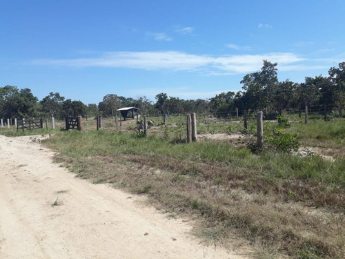 Imagem 6 de 28 de Fazenda À Venda, 3.106 Ha Por R$ 30.000.000 - Zona Rural - Cocalinho/mt - Fa0002