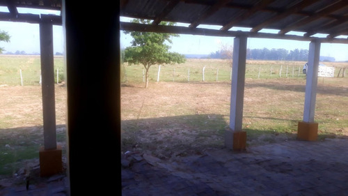 Imagen 7 de 26 de Vendo Chacra De 15 Has. Con Casa De Campo Muy Cerca Del Centro De Esquina, Corrientes!!!!!!