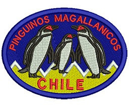 576 Parche Bordado Pinguinos Magallánicos