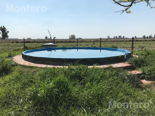 Imagen 11 de 25 de Venta Chacra San Miguel Del Monte