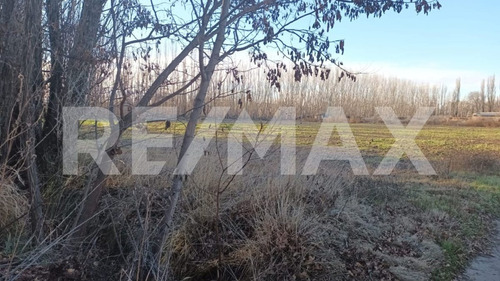 Venta De Chacra 6 Hectareas - Vista Alegre