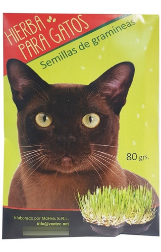 Hierba Para Gatos Semillas Gramineas Zootec