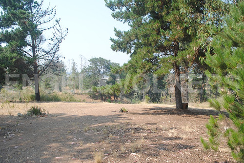 Terreno En Algarrobo