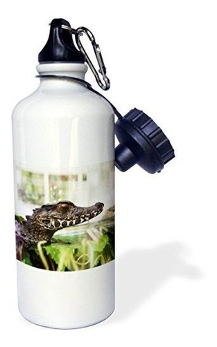 3drose Image Of A Crocodile Alligator Sports Water Bottle, 2